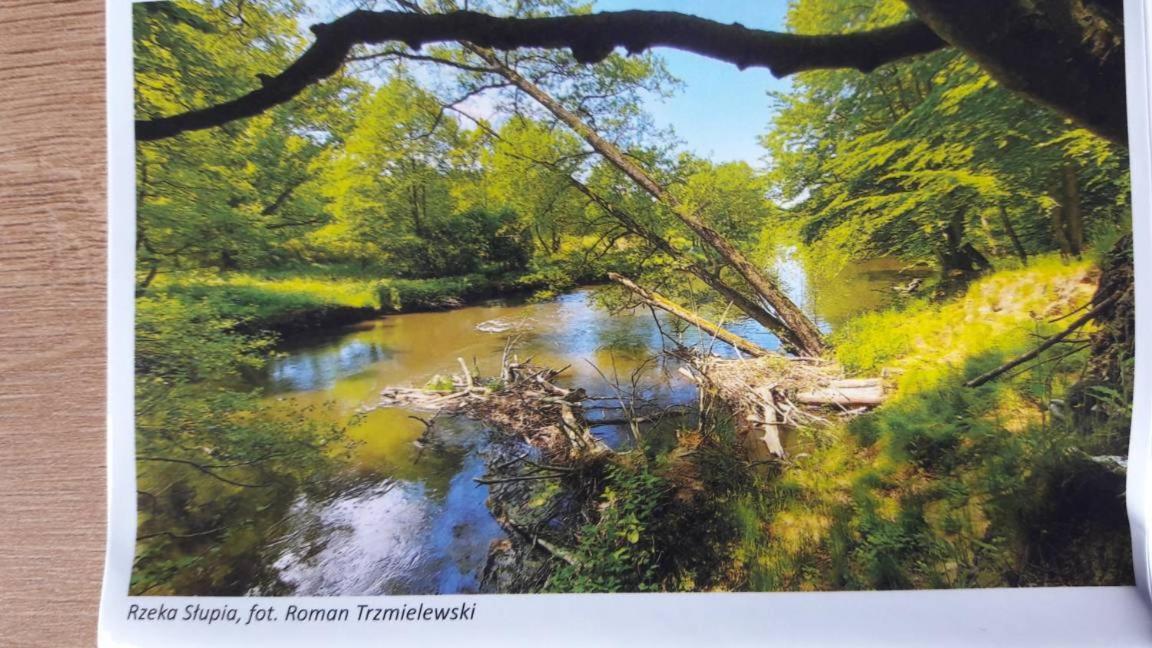 Freiraum Wytowno Villa Ustka Buitenkant foto